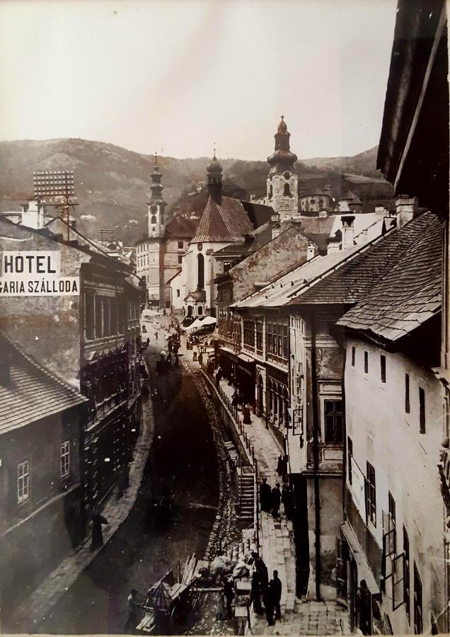 Penzión Rozália Banská Štiavnica Kültér fotó