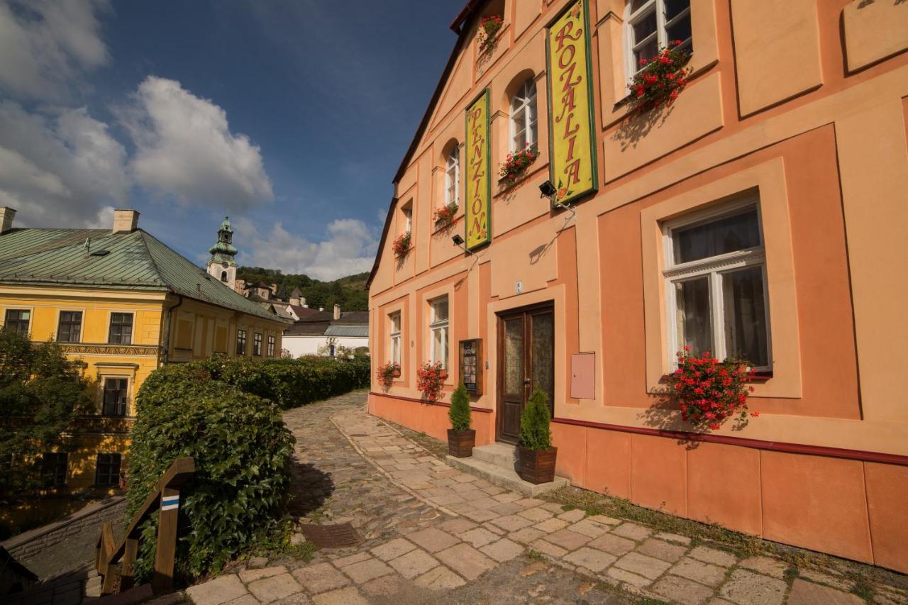 Penzión Rozália Banská Štiavnica Kültér fotó